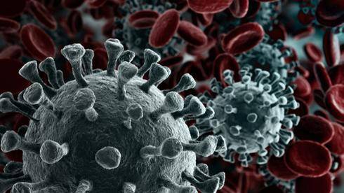 Израильские ученые объяснили сложности создания лекарства от коронавируса