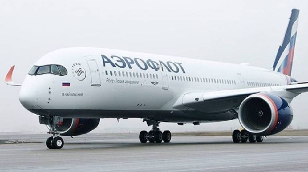 Почти 400 россиян вылетели из Индии спецрейсом «Аэрофлота»