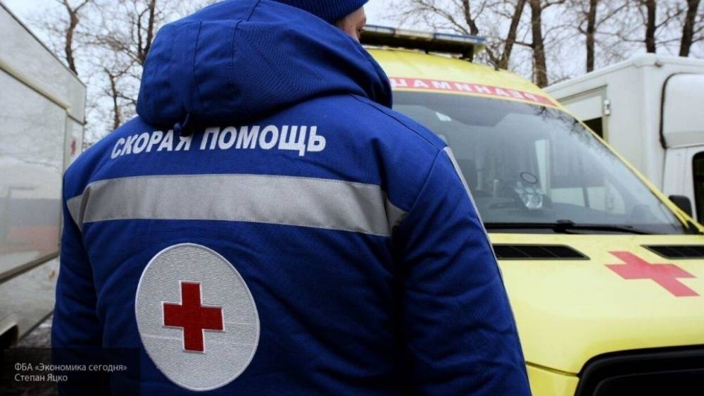 Мальчик провалился под лед и погиб в машине скорой помощи в Череповце