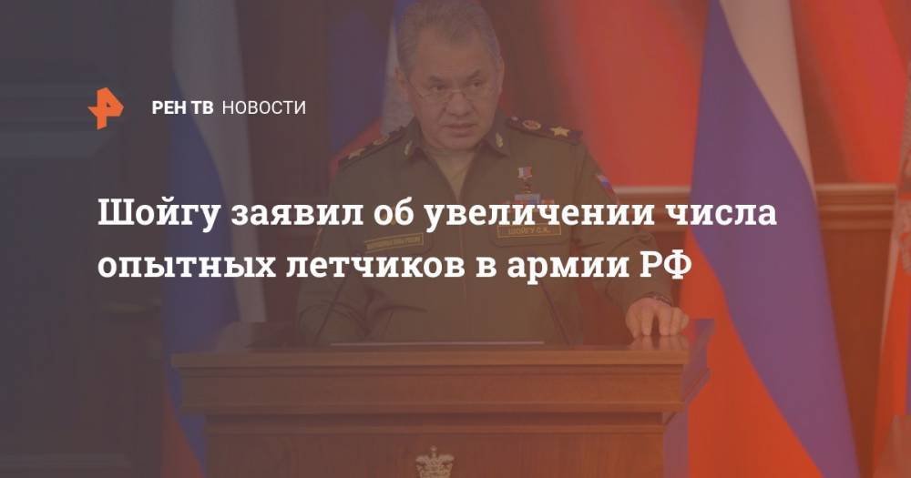 Шойгу заявил об увеличении числа опытных летчиков в армии РФ