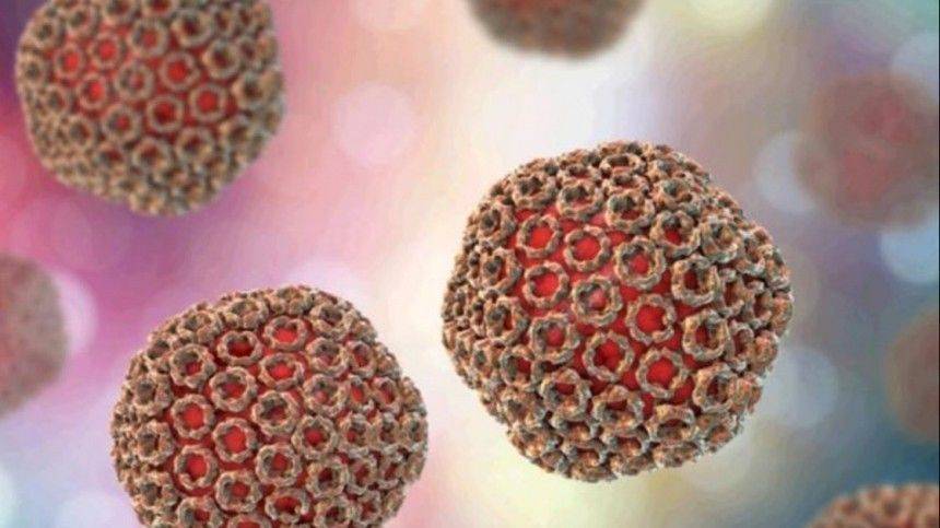 В Китае зафиксировали первый случай смерти от хантавируса