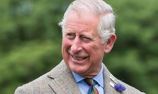 Принц Уэльский Чарльз сдал положительный тест на коронавирус
