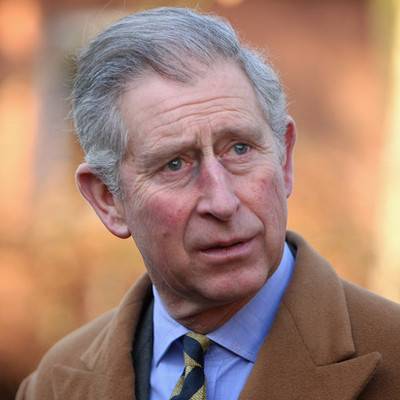 71-летний британский принц Чарльз заразился коронавирусом