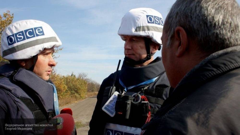 Политолог Осташко обвинил ОБСЕ во вмешательстве во внутренние дела России