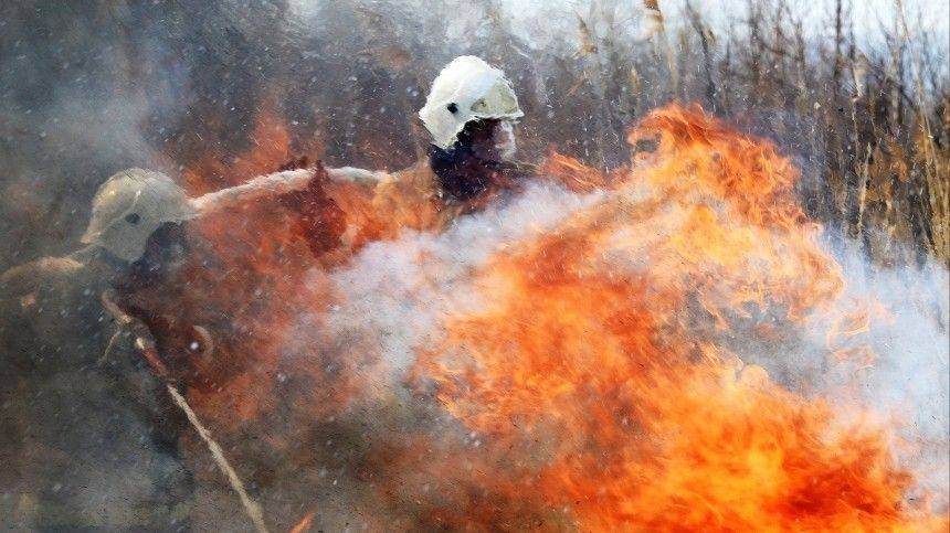 Разнообразие непогоды: часть России охватили пожары, другую — снегопады