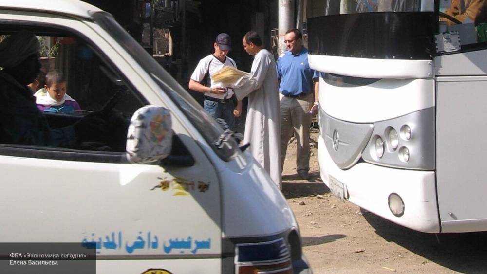 Массовое ДТП с фурой в Египте унесло жизни 16 человек