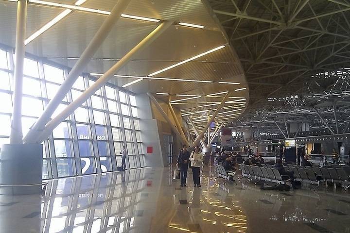 Всех прилетающих в РФ граждан обязали проверять на коронавирус в аэропорту