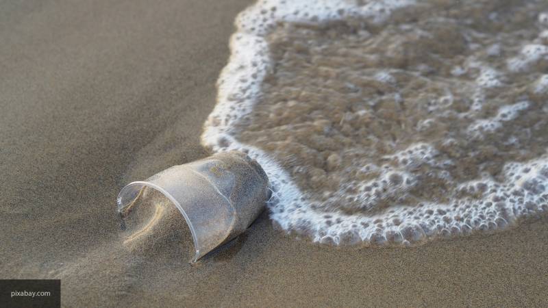 Ученые рассказали о путях попадания микропластика в глубины океана