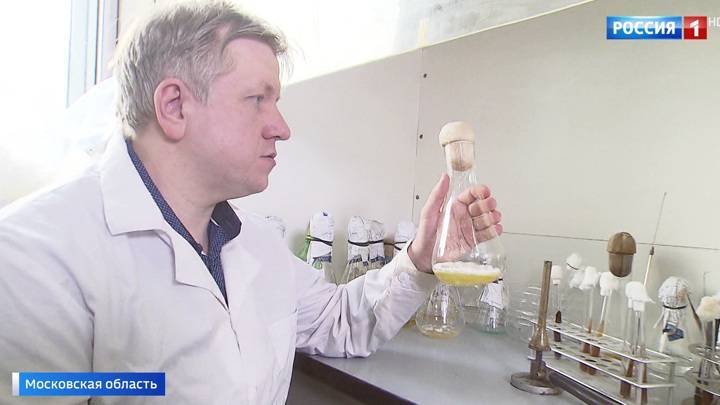 Древний гриб, обнаруженный в Арктике, может стать новым лекарством от рака