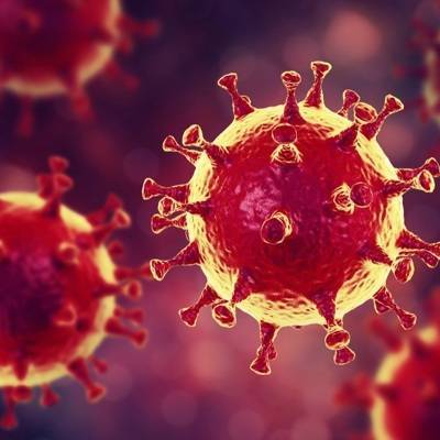 Россия может побороть коронавирус раньше, чем через три месяца