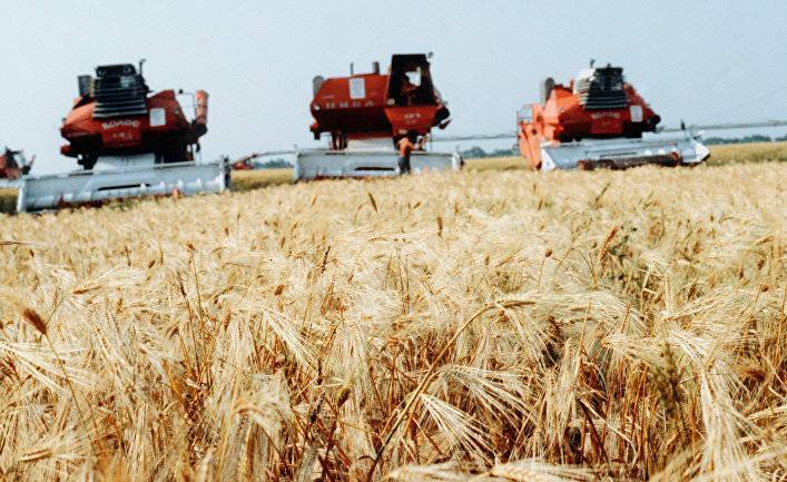 Bloomberg (США): коронавирус заставляет обратить внимание на риски, связанные с сокращением экспорта российской пшеницы