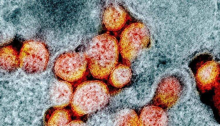 Врач назвал наиболее подверженных заражению коронавирусом людей