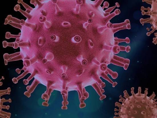 Число зараженных коронавирусом в мире превысило полмиллиона человек