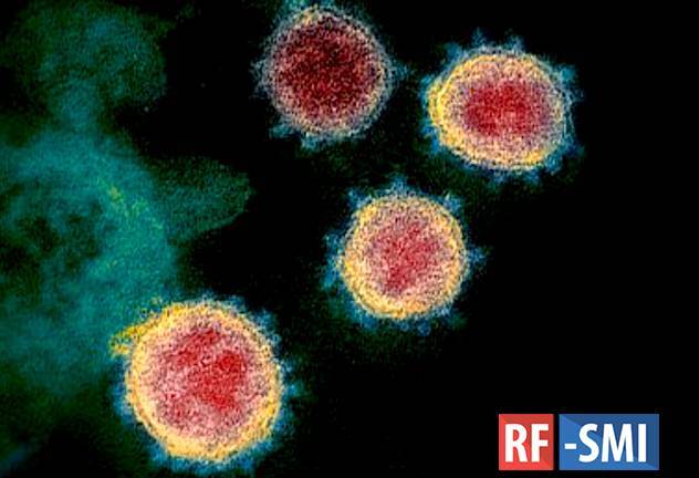 США вышли на первое место по числу заболевших коронавирусом