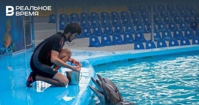 В Челнах дельфинарий просит взять опекунство над животными
