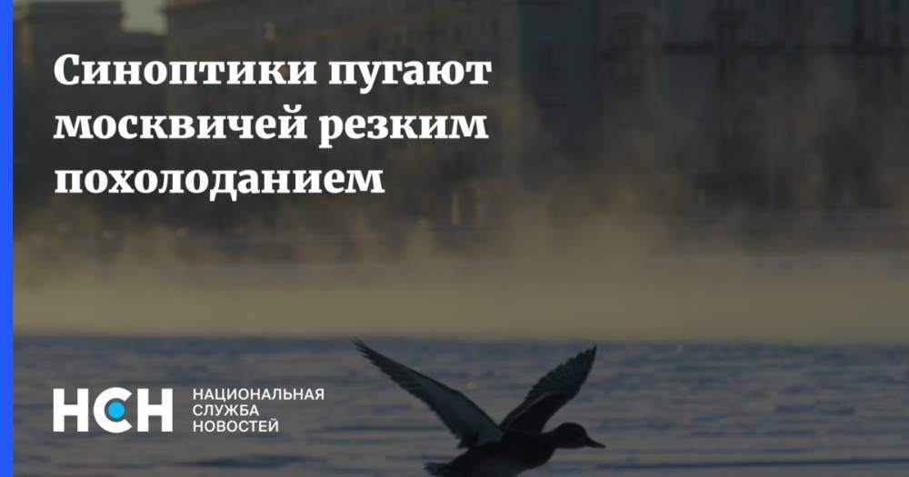 Синоптики пугают москвичей резким похолоданием