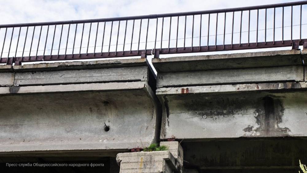 Очевидцы "выловили" труп упавшего с моста пенсионера в Тверской области