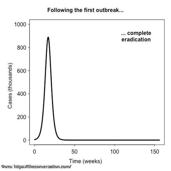Британские ученые составили четыре графика вероятного развития пандемии коронавируса в мире