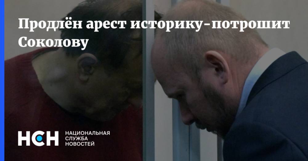 Продлён арест историку-потрошителю Соколову