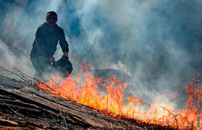 В России выросло число природных пожаров на фоне малоснежной зимы и тепла
