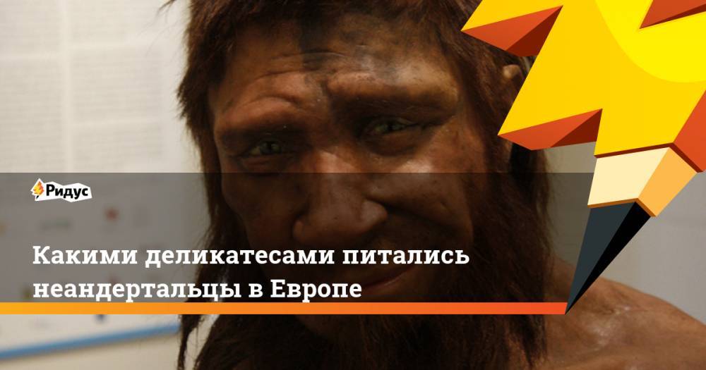 Какими деликатесами питались неандертальцы в Европе
