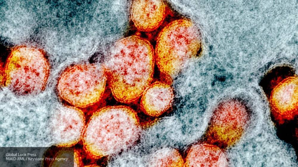 Новую тест-систему для диагностики коронавируса зарегистрировали в Новосибирске