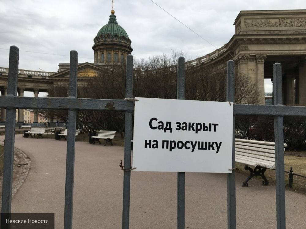 Журналист Светов положительно оценил принятые властями Петербурга карантинные правила
