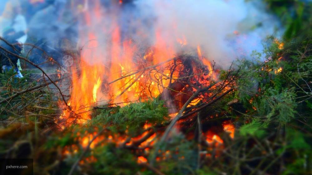 Природный пожар на площади 700 тыс. кв. м произошел в Красноярском крае