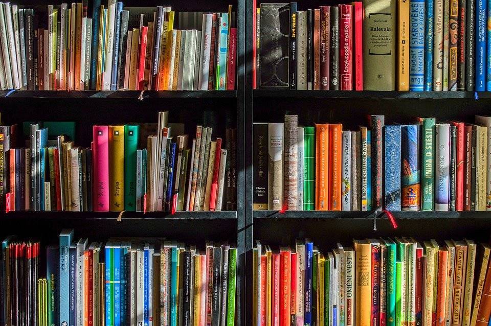 В Подмосковье у бизнесмена украли 150 тонн книг