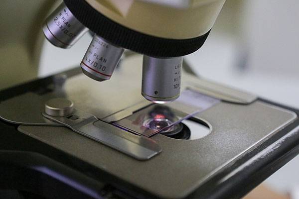 ФМБА России получило регистрацию на новую тест-систему для коронавируса