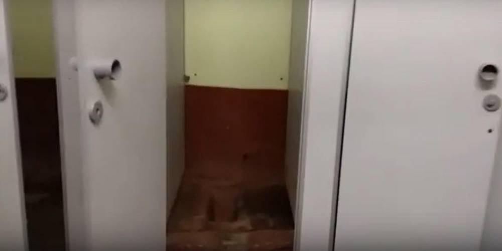 Карельские подростки выложили ролик о "тошнотворных" туалетах в своей школе с просьбой помочь