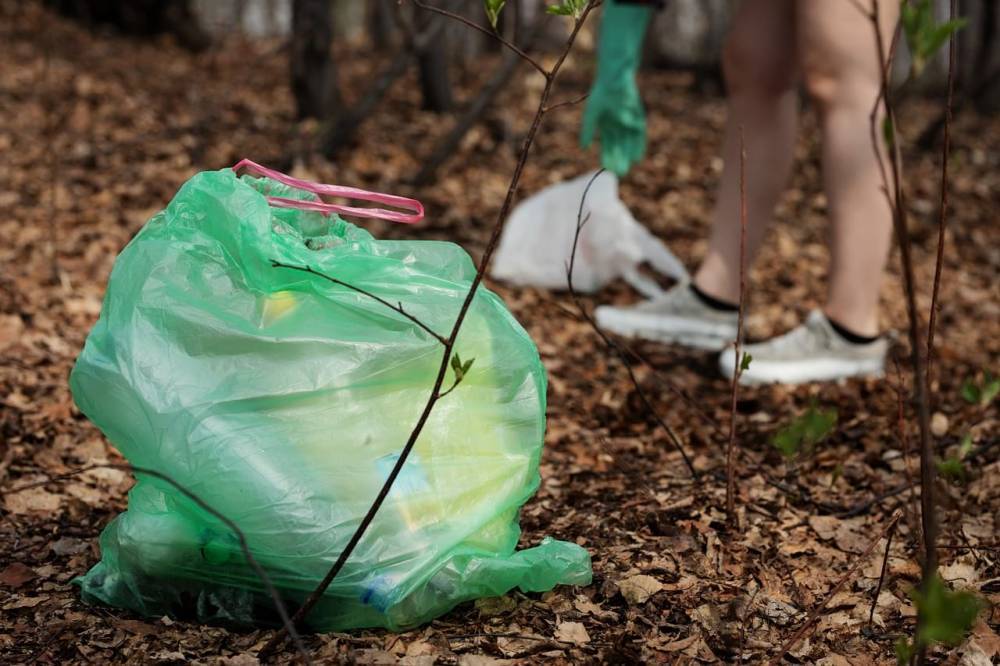 Ученые решили проблему с утилизацией пластика - Cursorinfo: главные новости Израиля