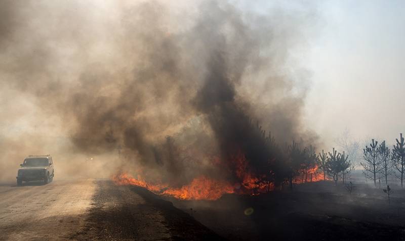 25 гектаров камыша горят в Ростове-на-Дону: есть жертвы (видео)
