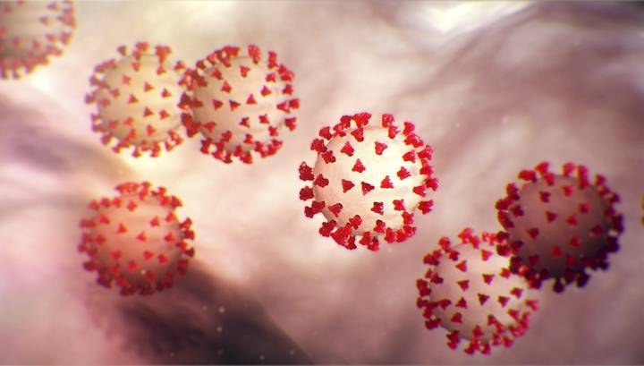Названы новый возможный симптом и срок сохранения коронавируса в организме