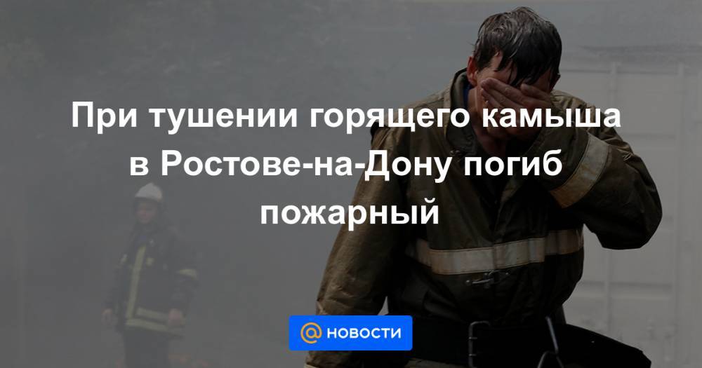 При тушении горящего камыша в Ростове-на-Дону погиб пожарный