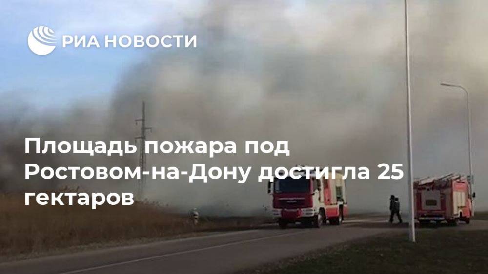 Площадь пожара под Ростовом-на-Дону достигла 25 гектаров