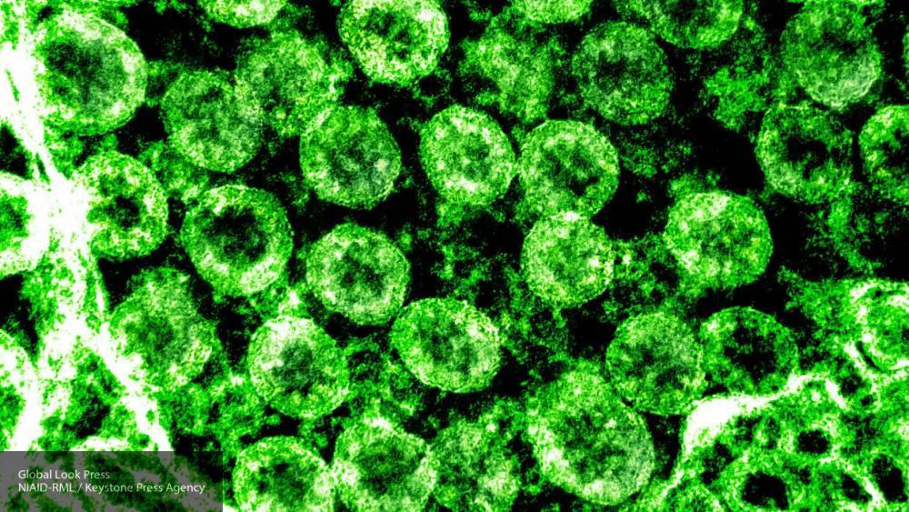 Гонконгские ученые выяснили, при какой температуре умирает коронавирус
