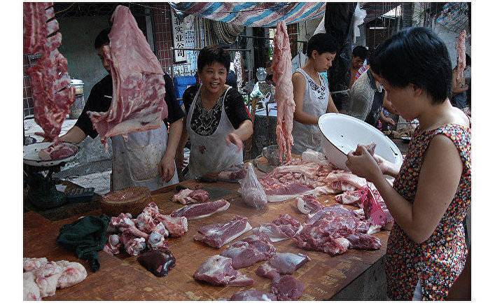 Project Syndicate (США): сработает ли китайский запрет на потребление диких животных?