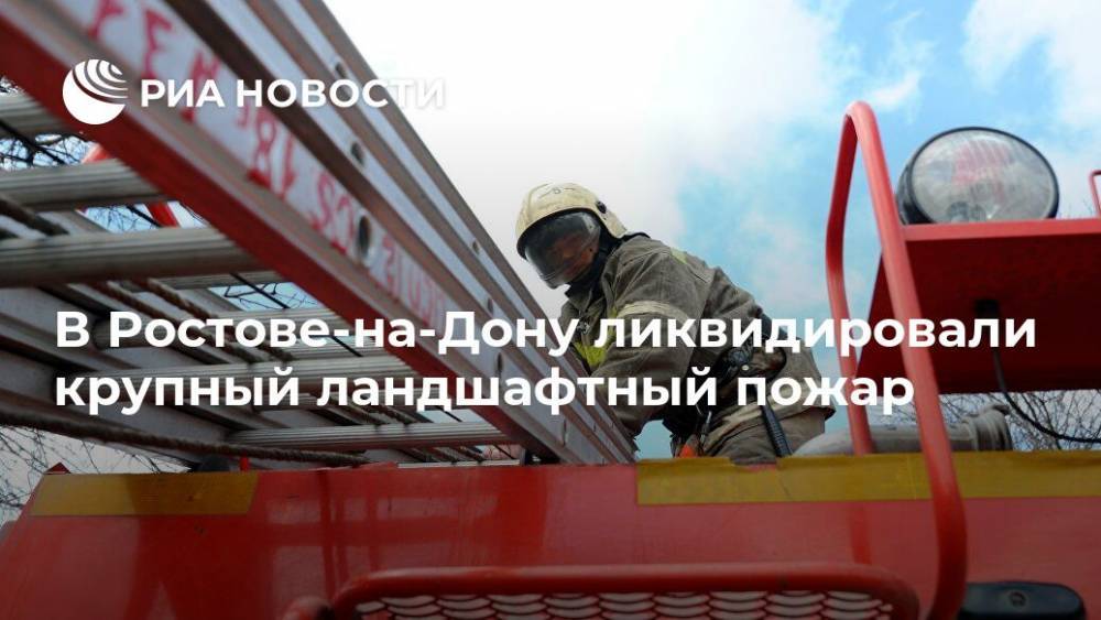 В Ростове-на-Дону ликвидировали крупный ландшафтный пожар