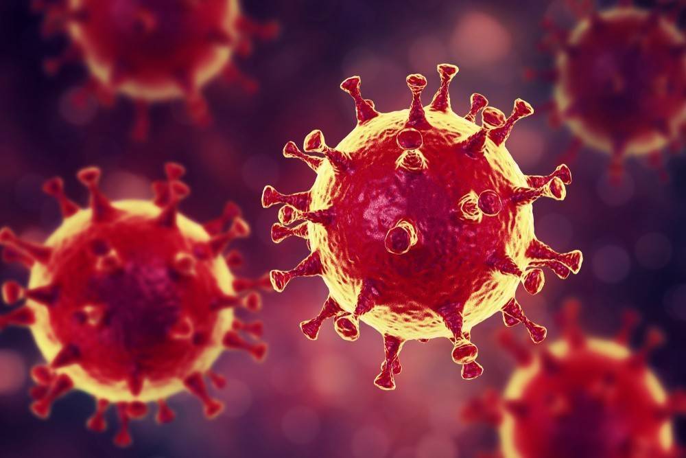 Число погибших от коронавируса в мире превысило 30 тысяч человек