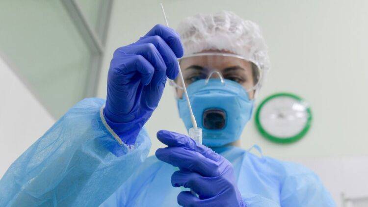 В России за сутки выявлено 270 новых случаев заражения коронавирусом