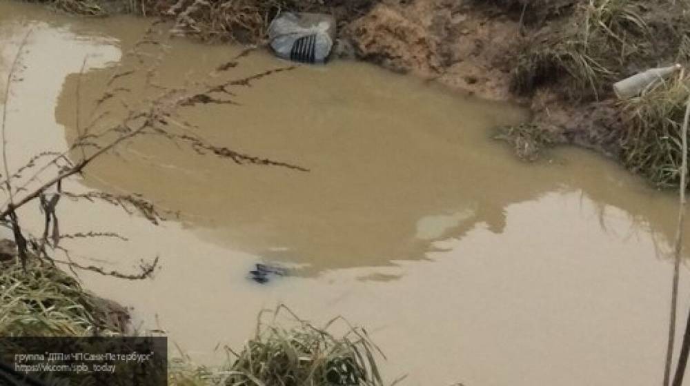 Труп десятиклассницы нашли в канаве в Ленобласти