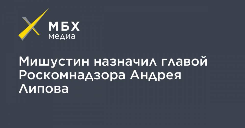 Мишустин назначил главой Роскомнадзора Андрея Липова
