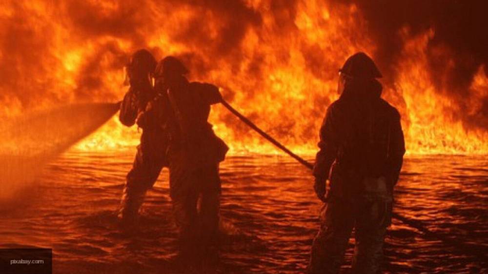 Поле камыша площадью 6 тыс. кв. м горело в Астрахани