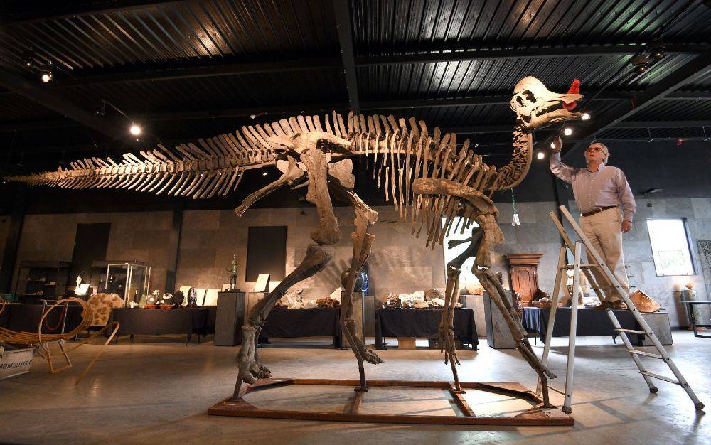 Ученые нашли признаки ДНК в костях динозавра возрастом 75 млн лет