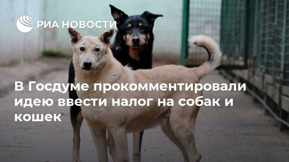 В Госдуме прокомментировали идею ввести налог на собак и кошек