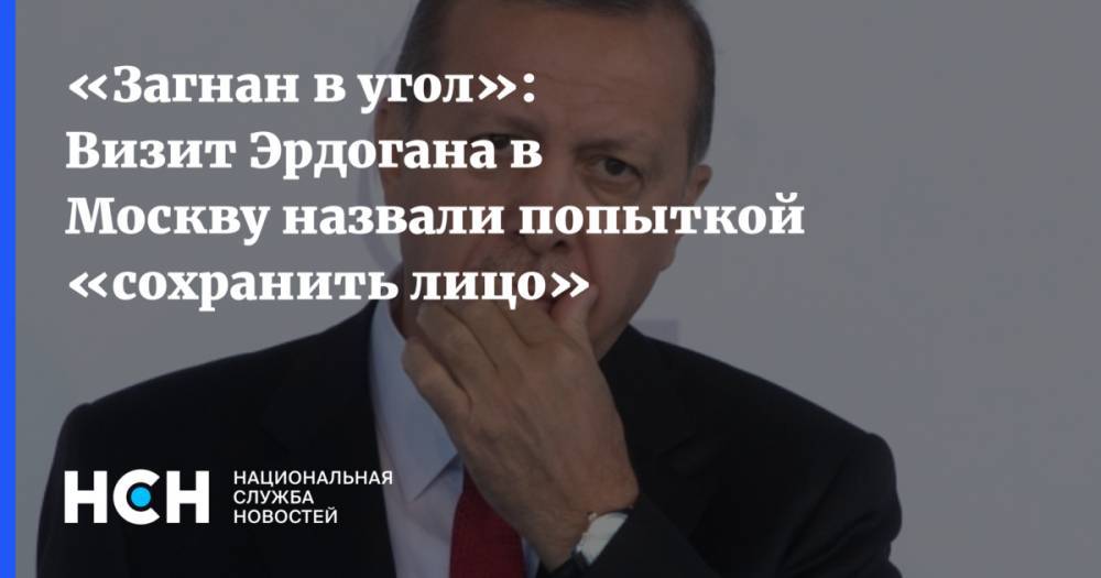 «Загнан в угол»: Визит Эрдогана в Москву назвали попыткой «сохранить лицо»