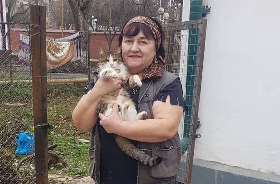 “Когда стреляли, я гладила их”: пенсионерка рассказала, как сделала приют для котят в чеченскую войну