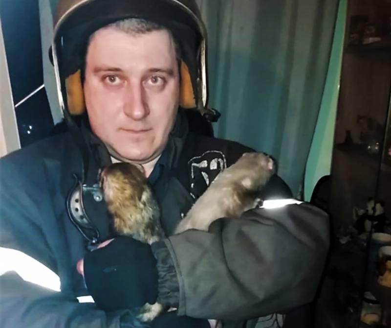 Женщину с хорьками спасли из горящей квартиры в Москве (фото)