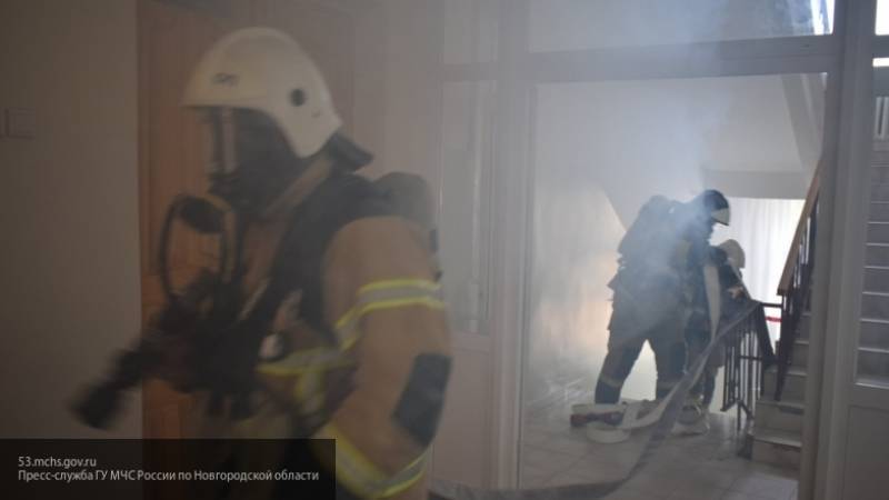 Пожарные спасли хозяйку квартиры и ее двух хорьков при пожаре в Москве